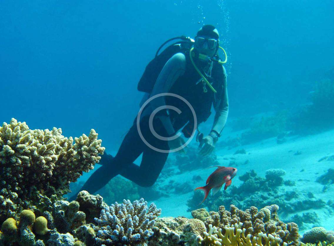 Underwater Family Photoshoot